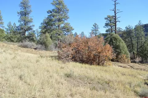 97 Wild Chives Ct, Durango, CO 81301