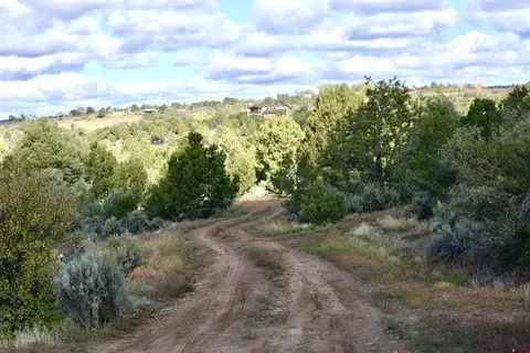 14421 321 Rd, Mancos, CO 81328