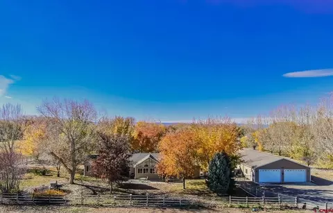 487 1775 Ct, Delta, CO 81416