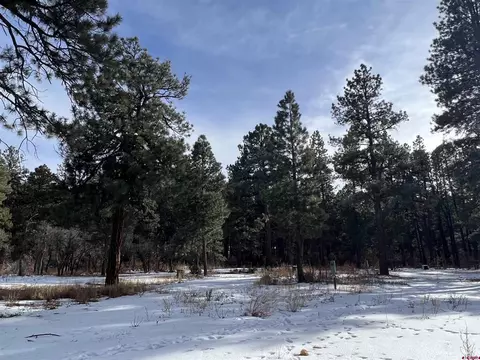 20558 Highway 140, Hesperus, CO 81326 photo 1