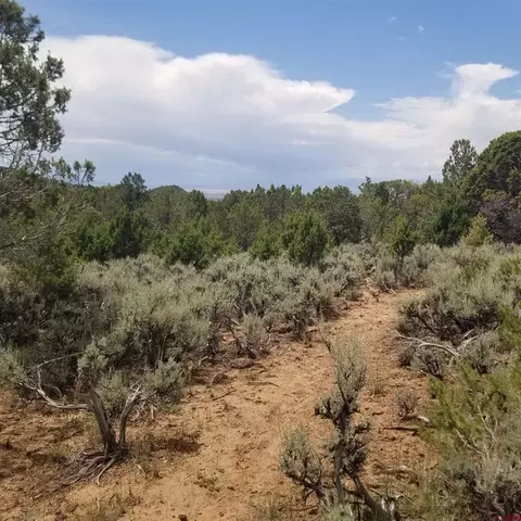 21852 Uintah Rd, Cedaredge, CO 81413 photo 1
