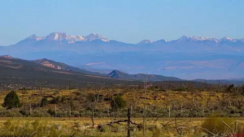6998 E County Road U 29, Redvale, CO 81431