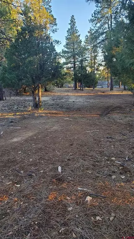 109 Rosebud Ct, Pagosa Springs, CO 81147