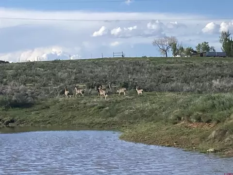 29998 Highway 184, Dolores, CO 81323
