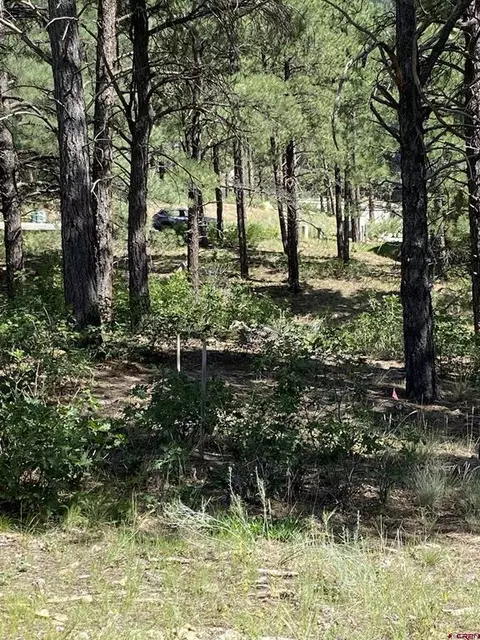 124 Larkspur St, Durango, CO 81301