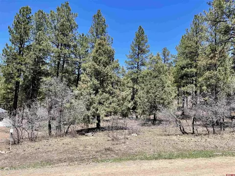 59 Woodland Dr, Pagosa Springs, CO 81147