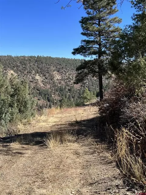 11511101 Gun Barrel Rd, Pagosa Springs, CO 81147