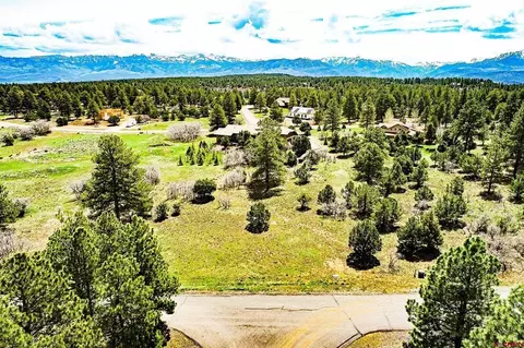 327 Bear Cub Drive, Ridgway, CO 81432