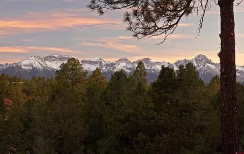 950 Marmot Dr, Ridgway, CO 81432