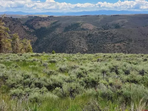 96 Kebler Trl, Powderhorn, CO 81243