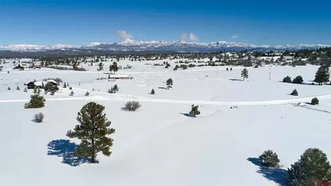 90 Marmot Ct, Pagosa Springs, CO 81147