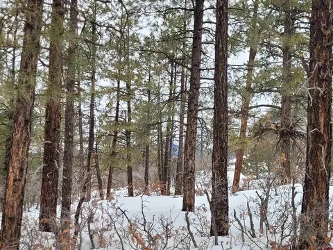 3150 Crooked Rd, Pagosa Springs, CO 81147