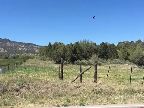 18489 A Highway 151, Arboles, CO 81121