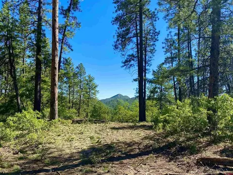 1123 Edgemont Highlands Dr, Durango, CO 81301 photo 1