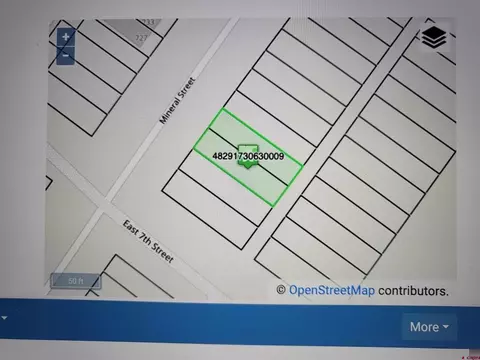 Lots 9-10 Mineral Street, Silverton, CO 81433