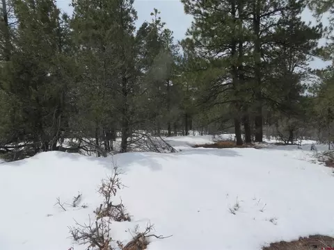 839 Crooked Rd, Pagosa Springs, CO 81147