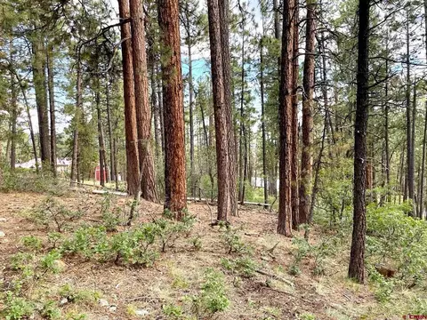 20 Elk Dr, Bayfield, CO 81122
