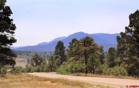 445 478 Bonanza Ave, Pagosa Springs, CO 81147