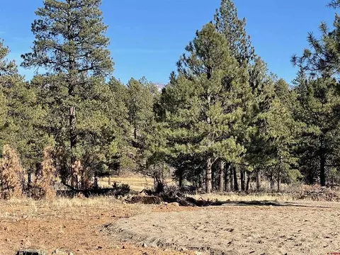 170 Paradise Ridge Pl, Pagosa Springs, CO 81147