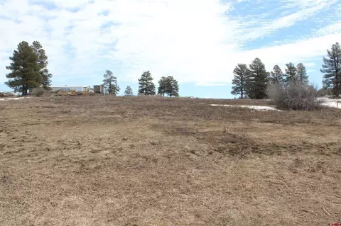 191 Badger Rd, Pagosa Springs, CO 81147