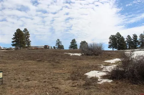 161 Badger Rd, Pagosa Springs, CO 81147