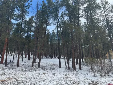 202 Pinetree Drive, Bayfield, CO 81122