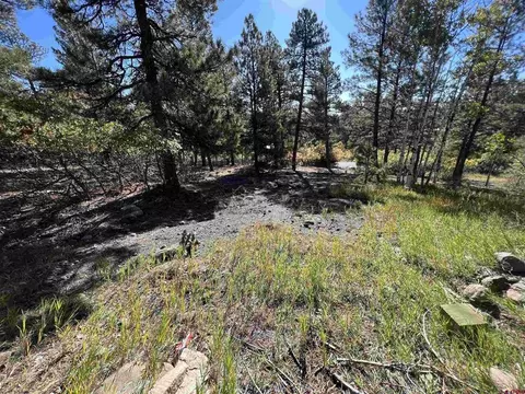 151 Gala Pl, Pagosa Springs, CO 81147