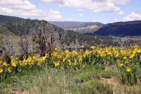 764 Irwins Pl, Chromo, CO 81147