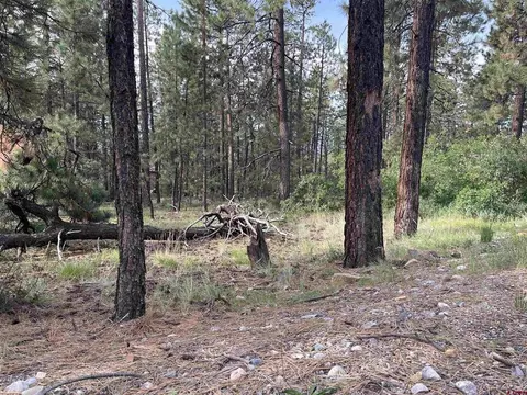 98 Pinewood Dr, Bayfield, CO 81122