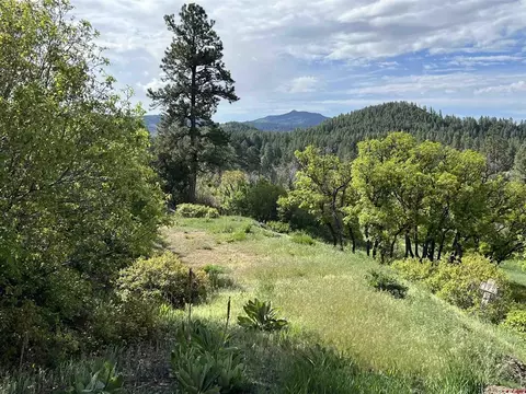 175 E Arbol Park Dr, Chromo, CO 81128