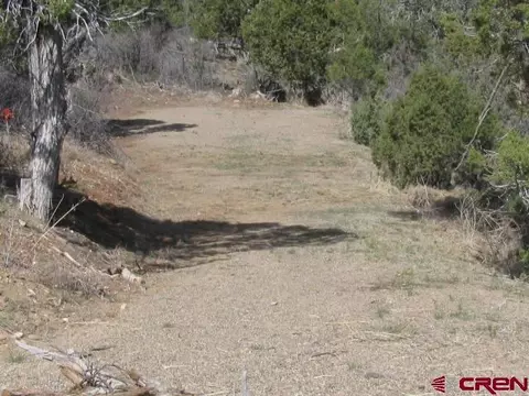 135 Summit Dr, Arboles, CO 81121