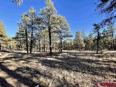 538 Oakbrush St, Pagosa Springs, CO 81147