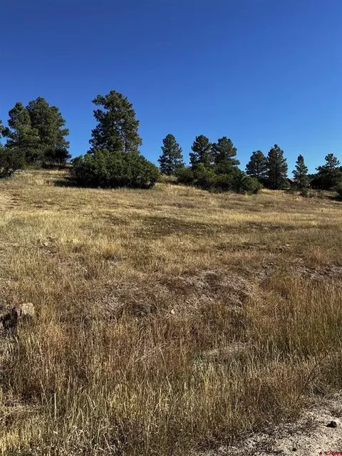 1516 Hills Cir, Pagosa Springs, CO 81147