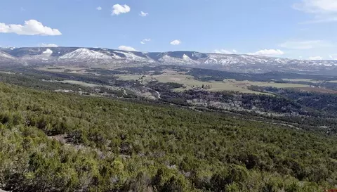 Tbd 55 Road, Collbran, CO 81624
