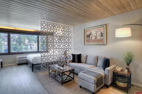 314 N Tamarron Dr #234, Durango, CO 81301