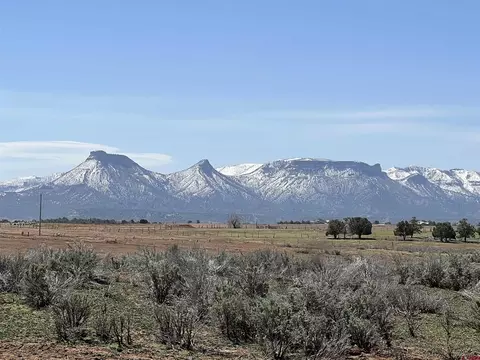 Lot 1 Road P, Mancos, CO 81328