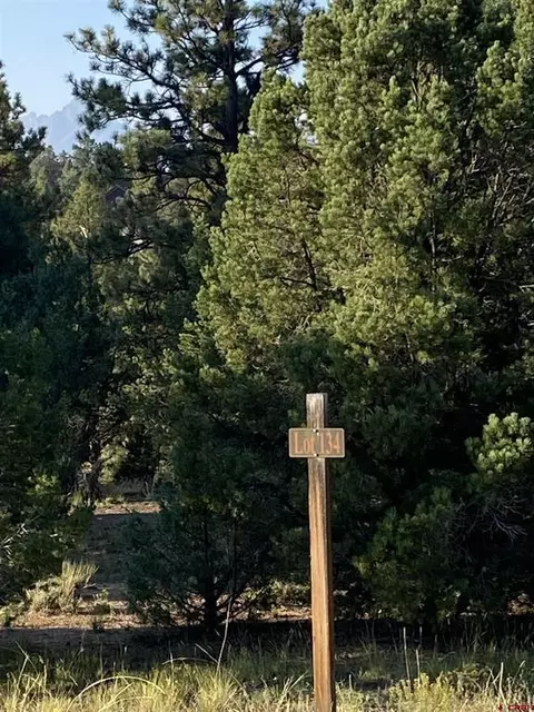 134 White Tail Lane, Ridgway, CO 81432