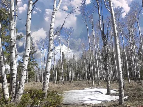 791 Crest Dr, Cimarron, CO 81220