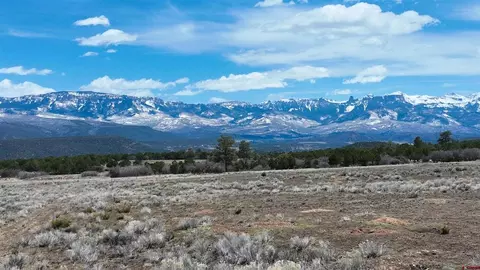 3690 Ponderosa Dr, Ridgway, CO 81432