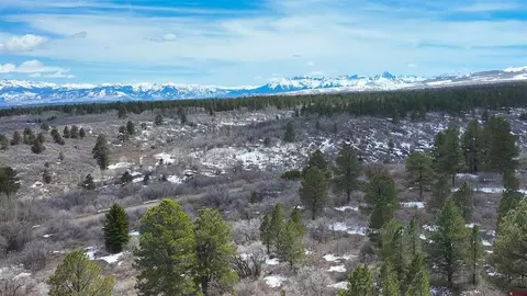 40 Acres Davewood Rd, Montrose, CO 81403