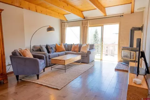 217 Gillaspey Ave #4, Crested Butte, CO 81224
