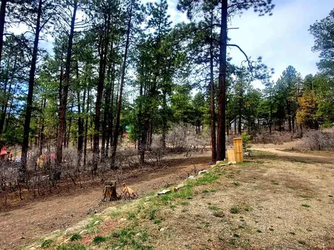 260 Berry Dr, Bayfield, CO 81122