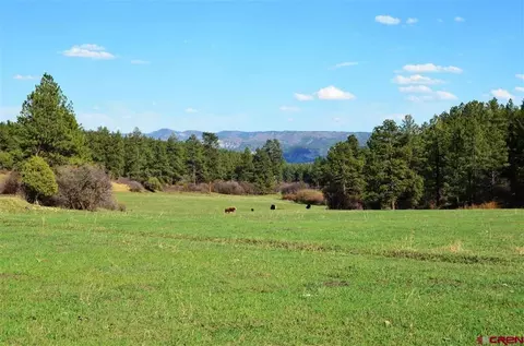 X1 County Road 193, Pagosa Springs, CO 81147