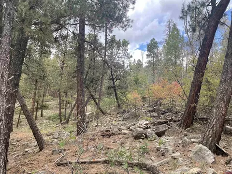 286 Fawn Dr, Bayfield, CO 81122