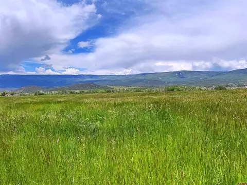 Tbd Highway 65, Cedaredge, CO 81413