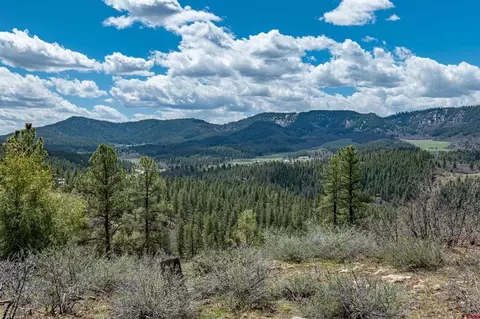 95 Caraway Ct, Pagosa Springs, CO 81147