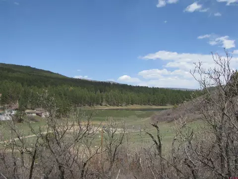 986 Alpine Frst, Bayfield, CO 81122