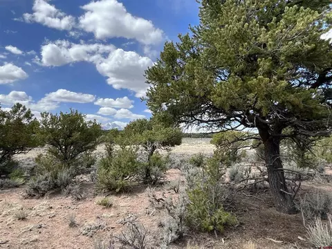 Tbd Annenberg Road, Fort Garland, CO 81133