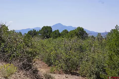 Lot 12 Road U.7, Dolores, CO 81323