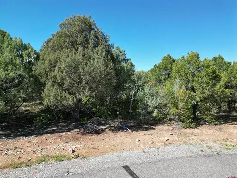 14 Cottontail Lane, Ridgway, CO 81432